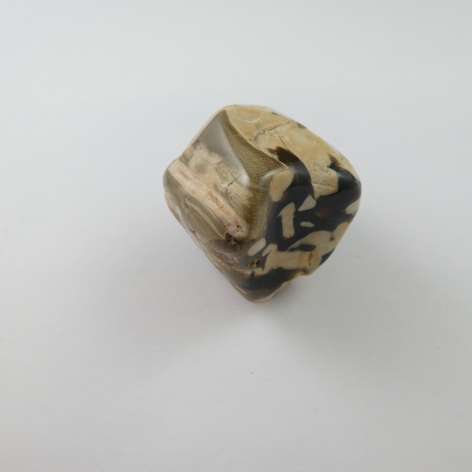 versteinertes Erdnußholz-Wurmholz Trommelstein