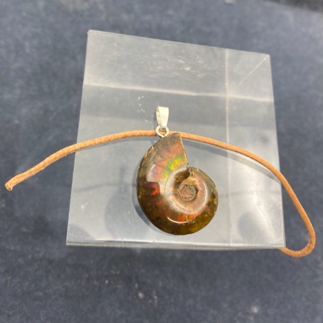 Ammolith Fossil Anhänger 