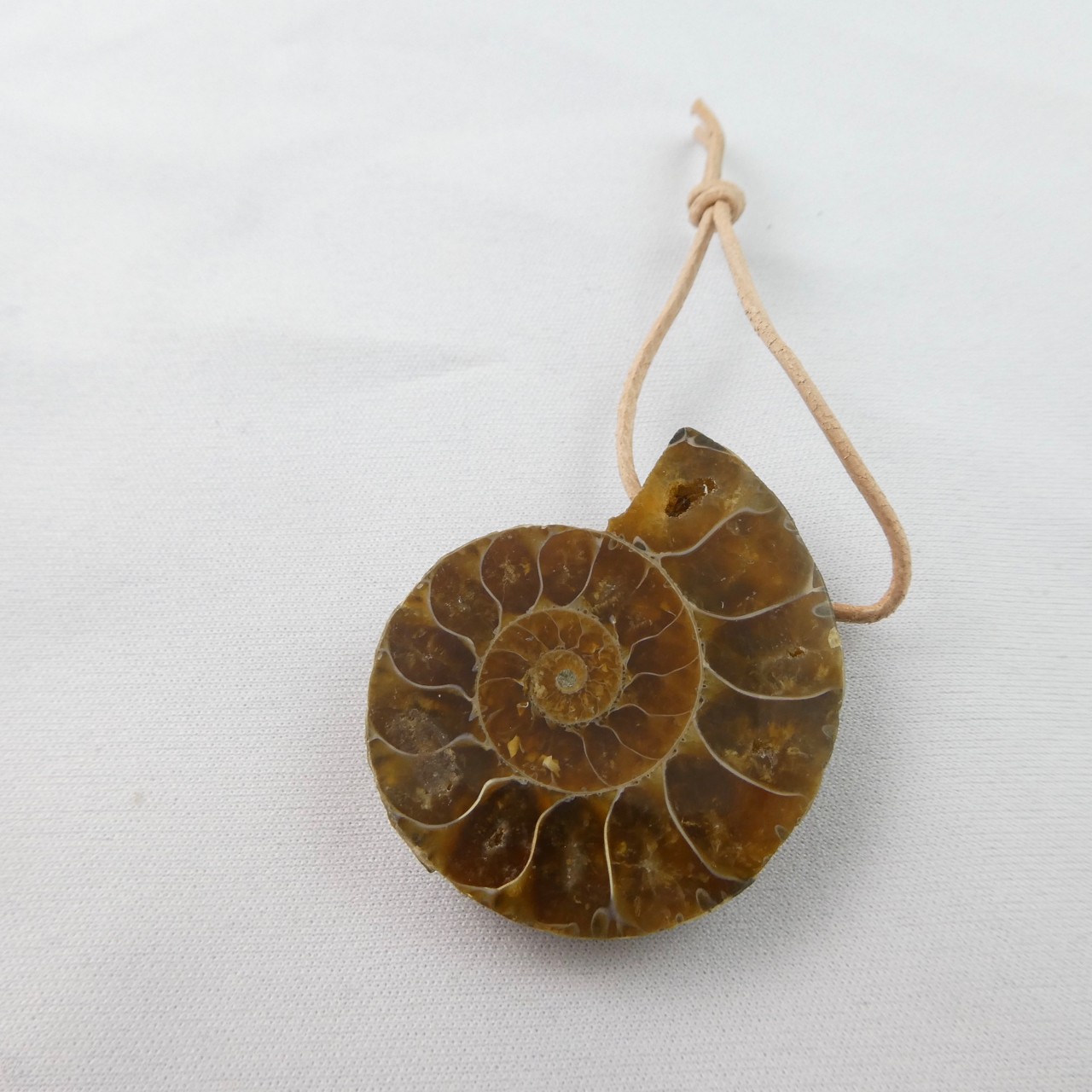 Ammonith versteinerte Schnecke gebohrt Anhänger Ammonith versteinerte Schnecke gebohrt Anhänger
