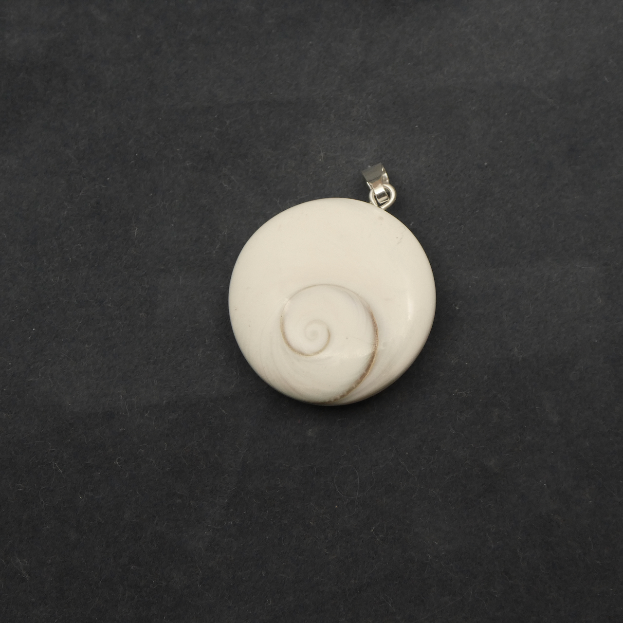 Shiva Auge - Muschel fossil Anhänger Silber