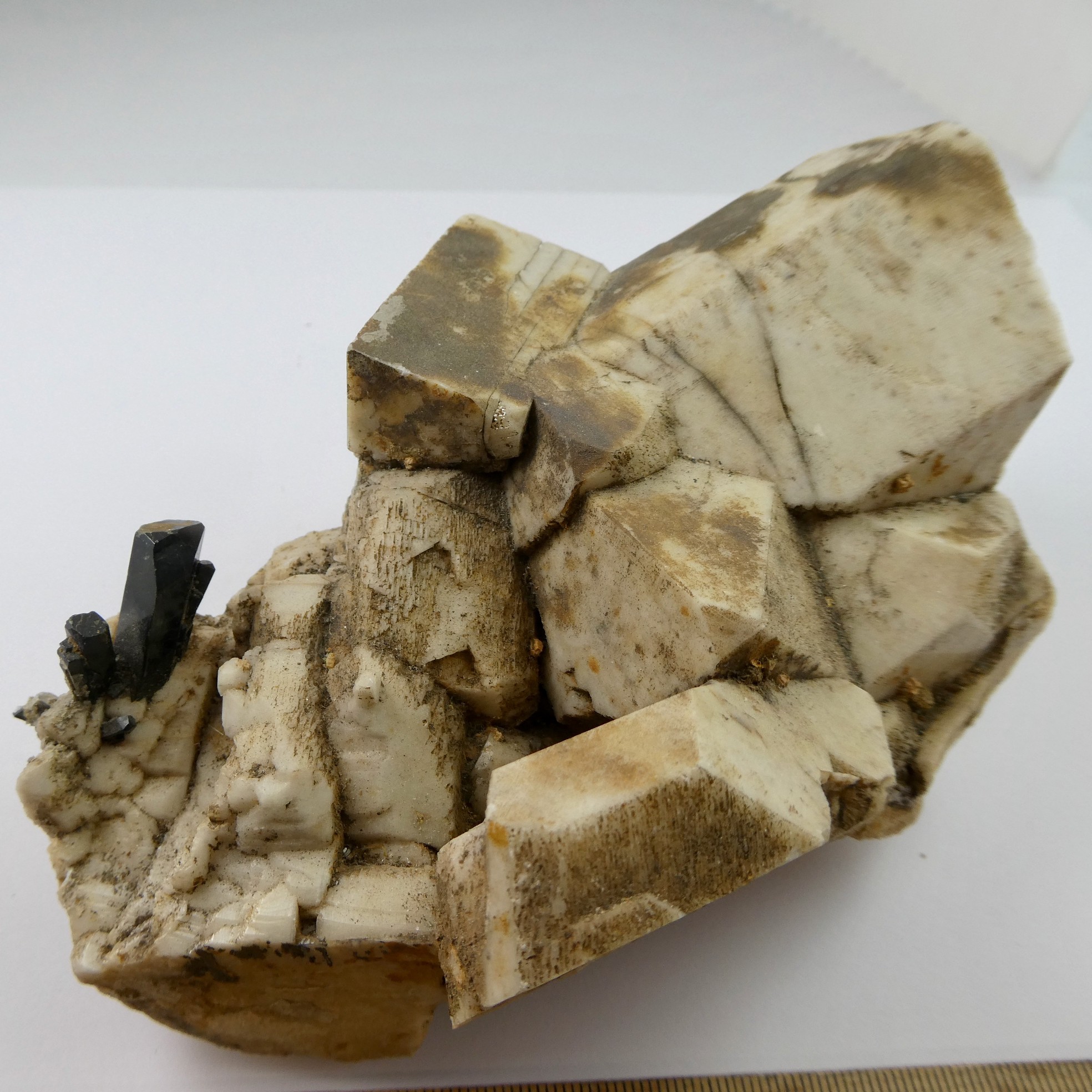 Aegirin auf Feldspat Naturkristall Stück Aegirin auf Feldspat Naturkristall Stück