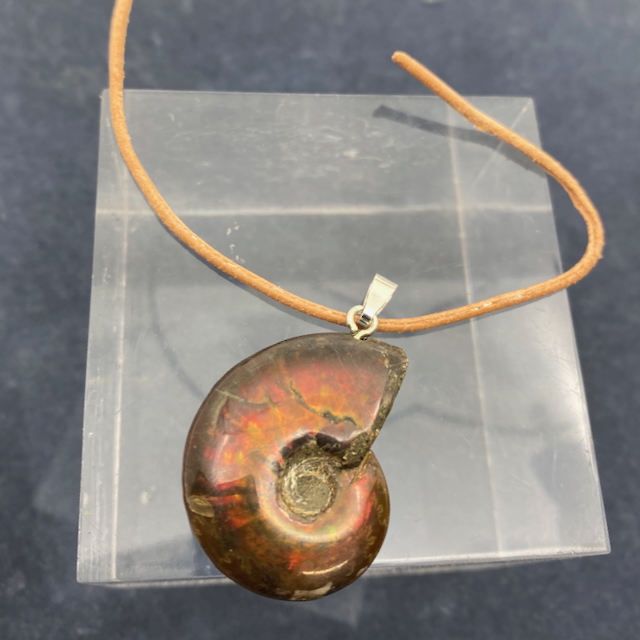 Ammolith Fossil Anhänger