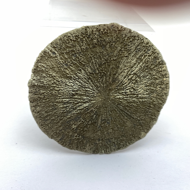 Pyrit Sonnenscheibe Natur Kristall Stück