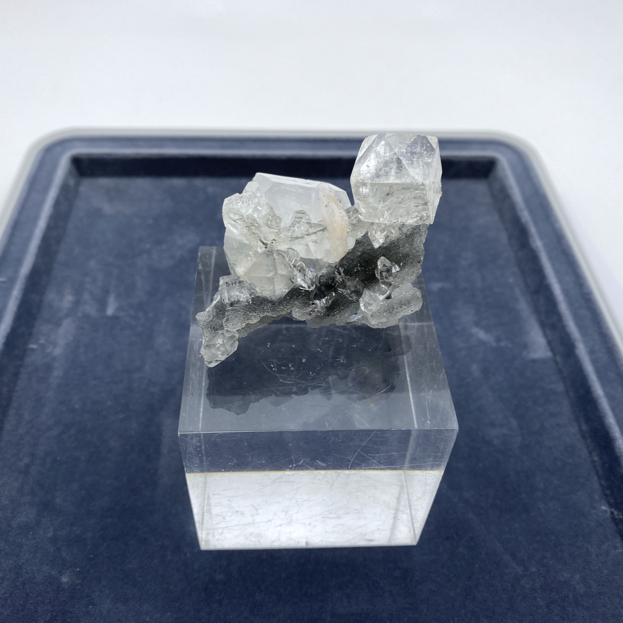 Apophyllit Natur Kristall Stufe