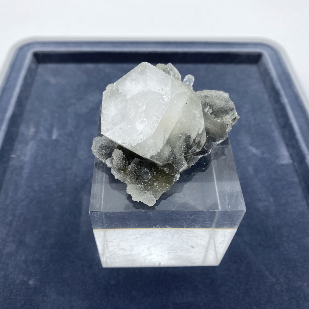 Apophyllit Natur Kristall Stufe