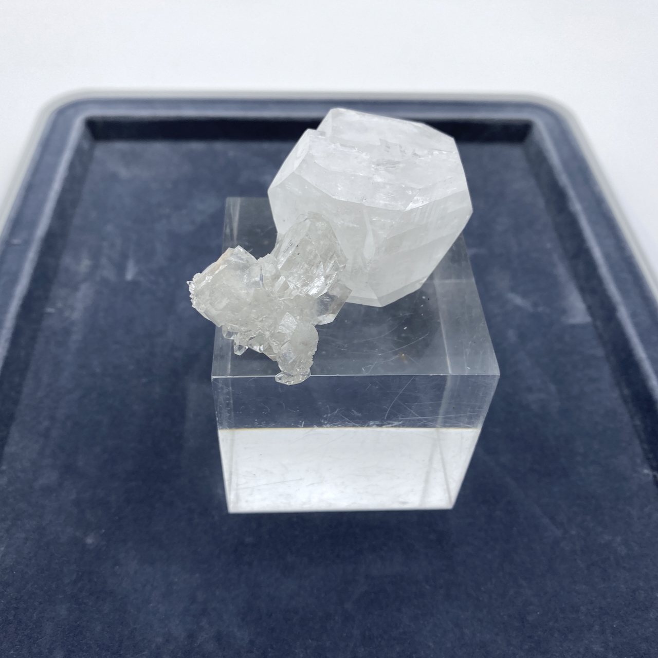 Apophyllit Natur Kristall Stufe